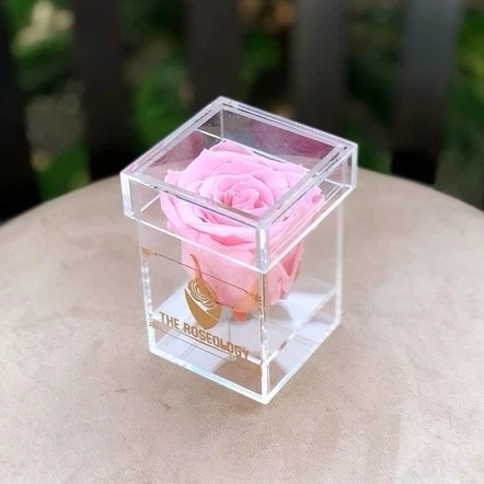 Clear Acrylic Preserved Rose Display Box Petite Lucite Flower Box 1 