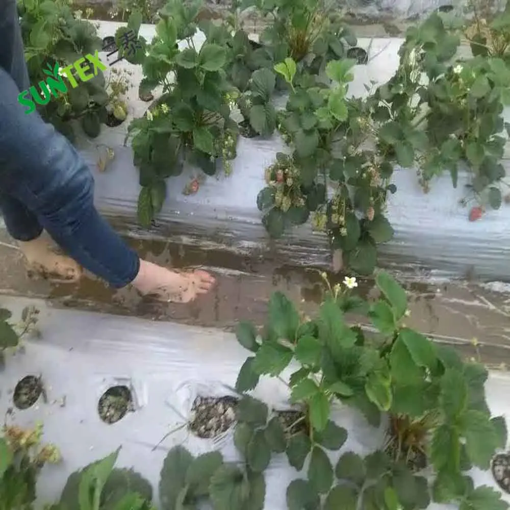 Поли-пленка для борьбы с сорняками 30 микрон черная Серебристая светоотражающая пленка