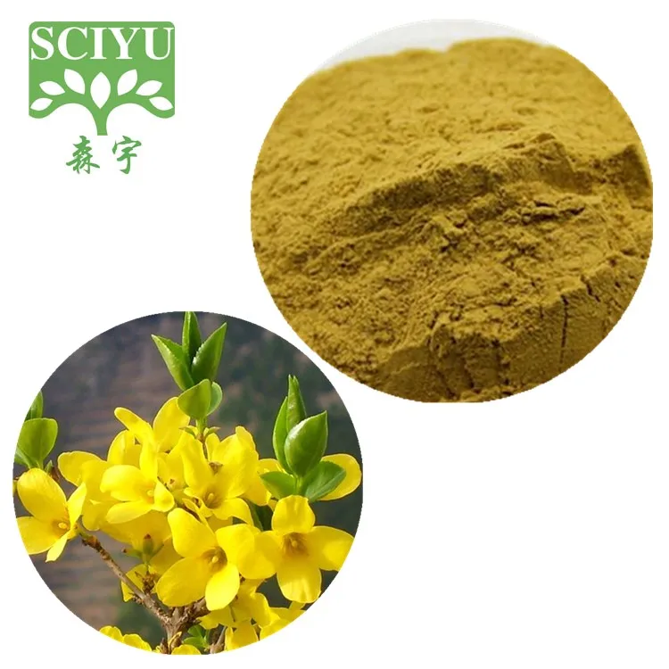 Forsythia Suspensa Fructus Extract Weeping Forsythia Extract Powder
