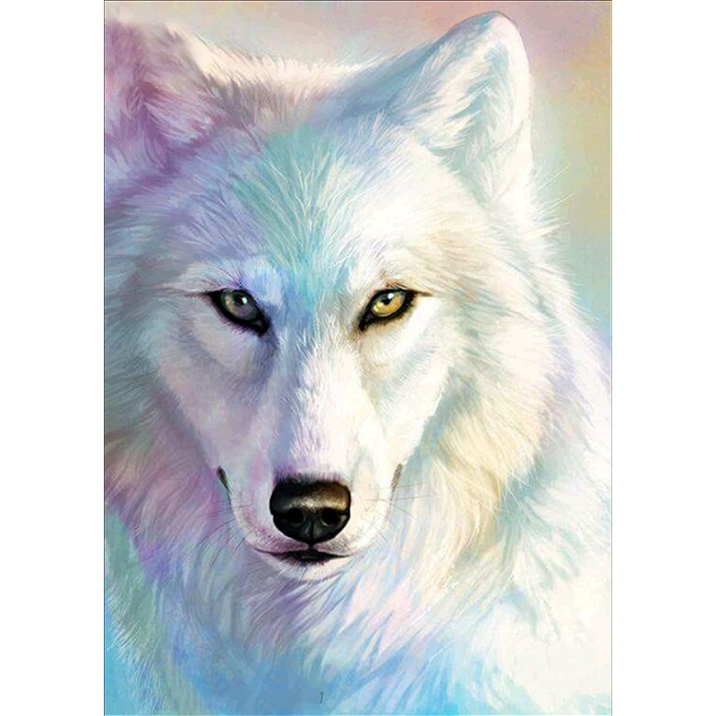 Hình ảnh đẹp 3D sói đẹp | Chó sói, Hình ảnh, Đại bàng