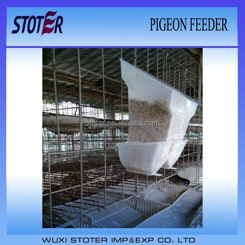 automatic pigeon feeder