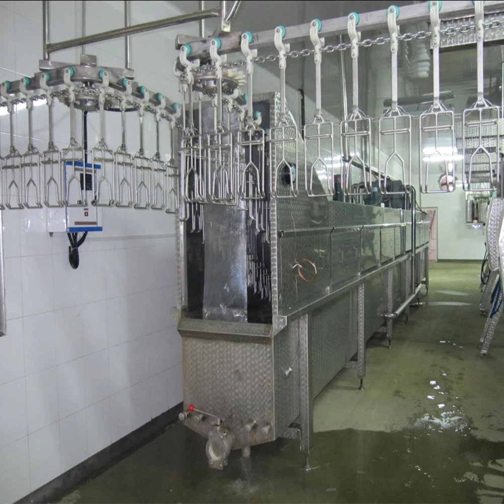 Latest Design High Quality 200 To12000BPH Poultry Broiler Farm Abattoir Automatic Temperature Controlling Scalder Equipment