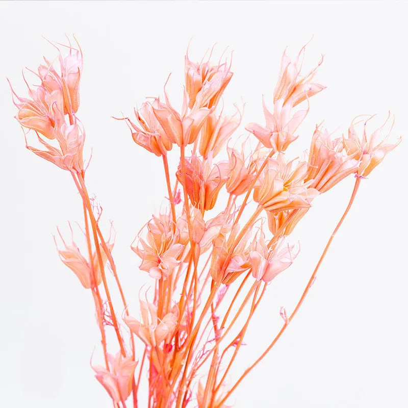 Заводской сушеный цветок, консервированный восьмиугольный цветок для композиции консервированных цветов