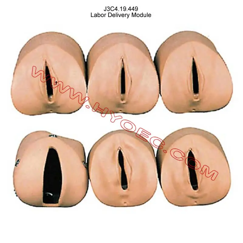 Модуль доставки труда для школы