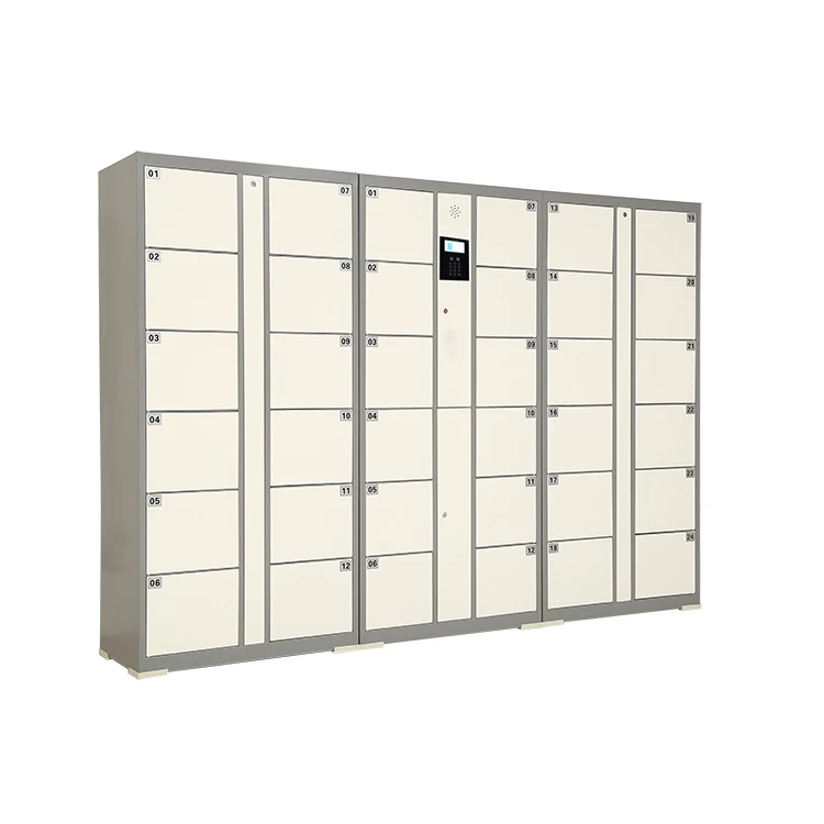 Storage Electronic Password Smart Locker in Good Quality with Competitive Price