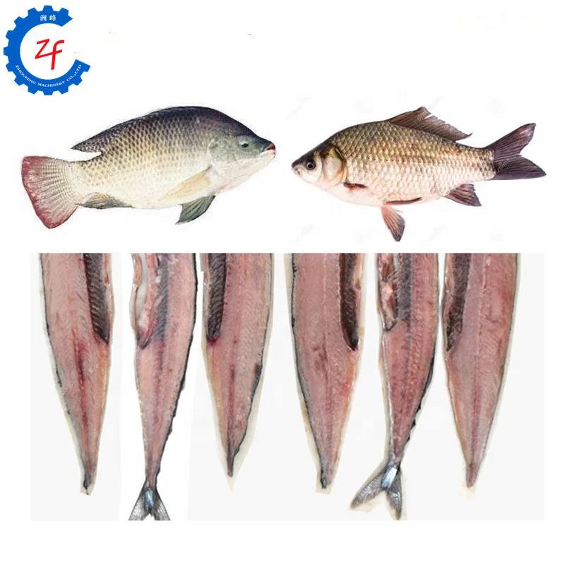 Fish Meat Bones Removing and Separating Machine Fish Pin Bone Remover Price