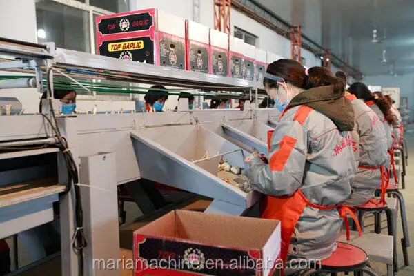 product-1-1 product-1-1