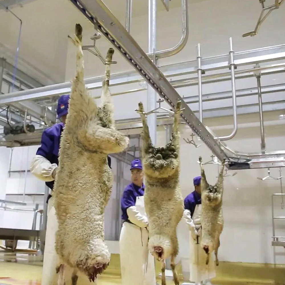 New complete halal sheep slaughtering production line equipment for goat lamb slaughtering plant machinery