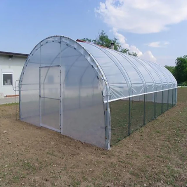 Single Span Tunnel Greenhouse for Tomato and Vegetable