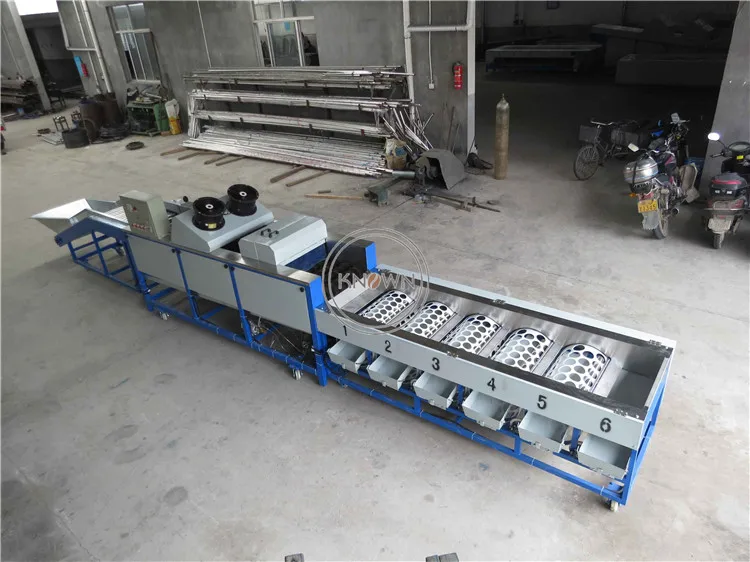 Commercial Grape Fruit Sorting Machine Lemon Grader Vegetable Washing Grading Machine