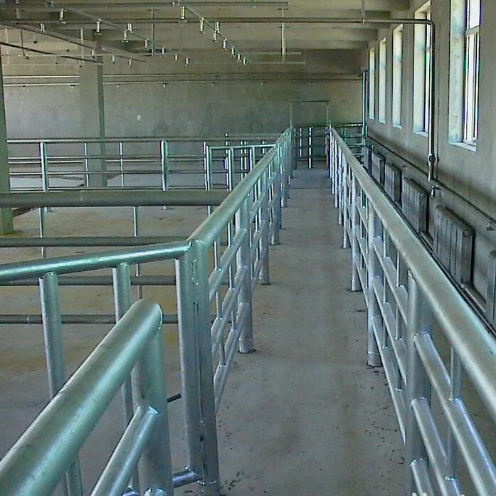 Cow Amazing Killer Box Slaughter Box for Cow Cow and Halal Ceremony