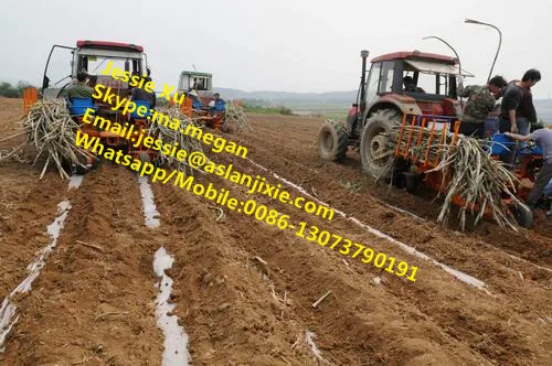 Single or Double Rows Sugarcane Planting Machine