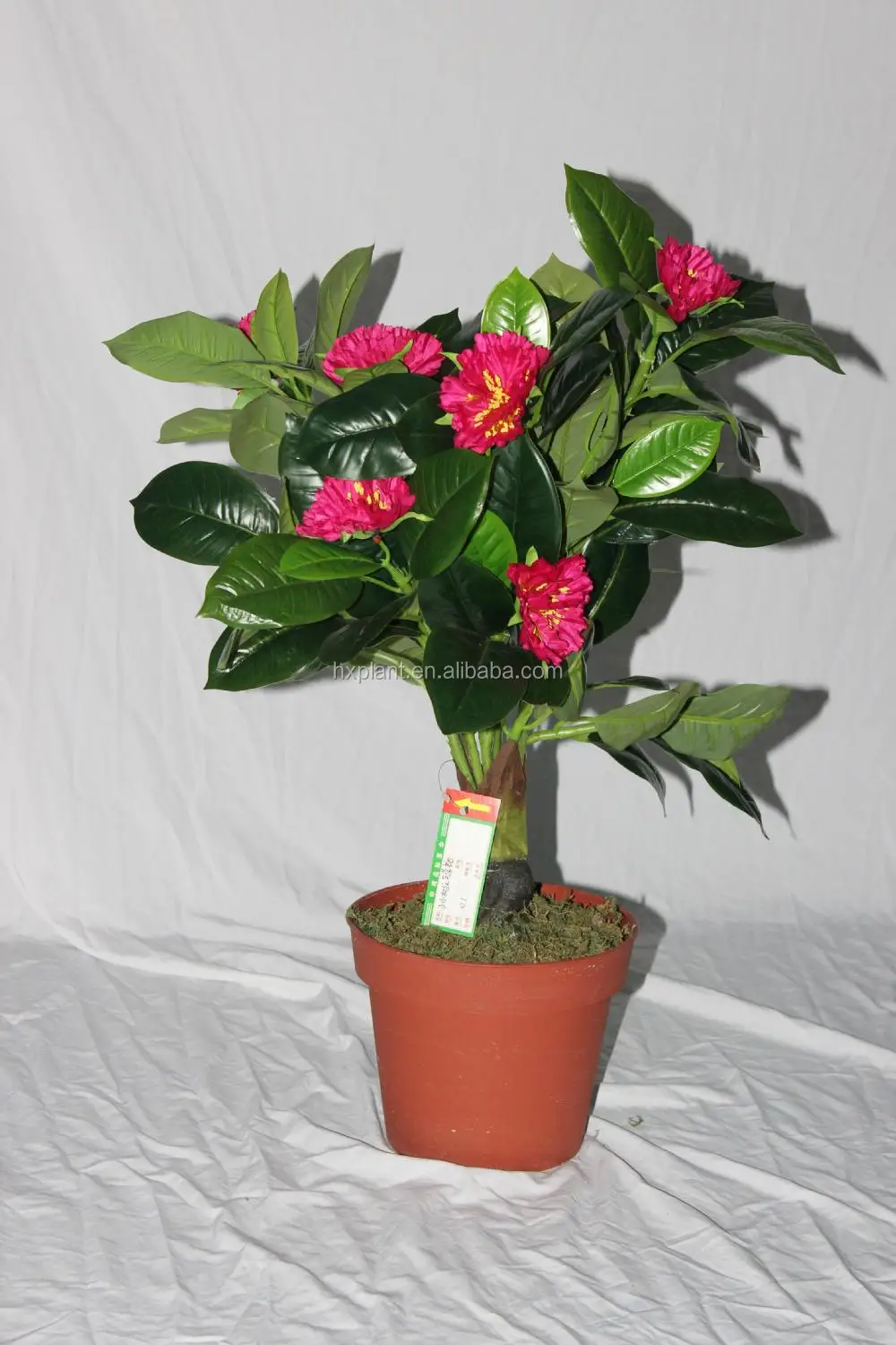 Mini Hibiscus Bonsai - Elegant Artificial Flower Plant