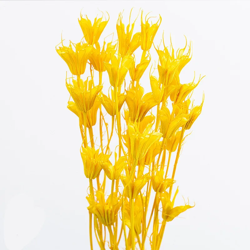 Заводской сушеный цветок, консервированный восьмиугольный цветок для композиции консервированных цветов