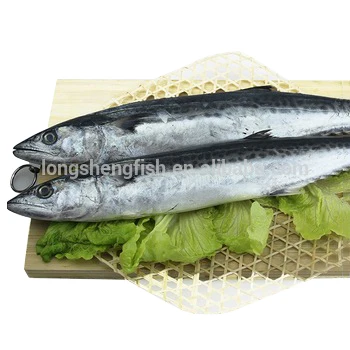 hot selling cheap price frozen spanish mackerel whole round