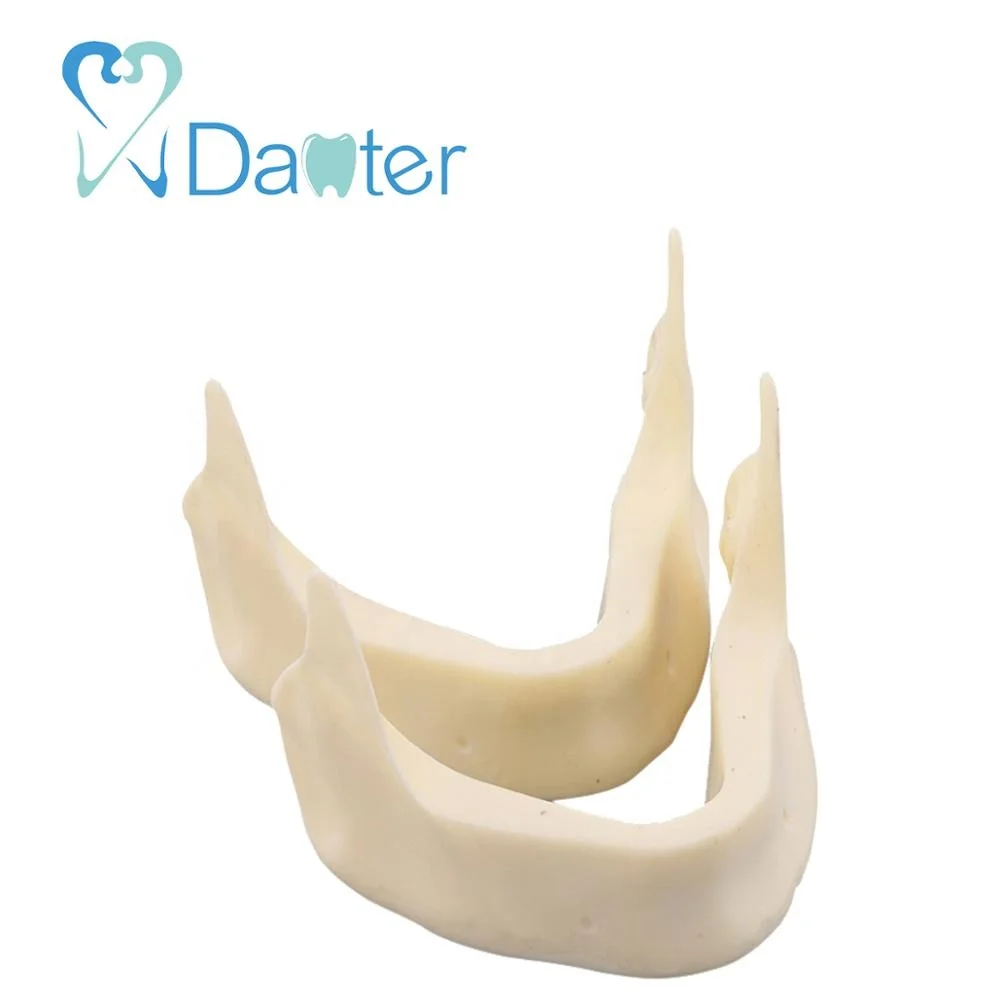 Высококачественная Стоматологическая модель с смолой и Подавляющими кости для студенческой