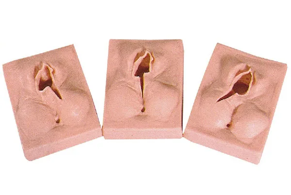 Advanced Vulva Suture Exercise Model Vagina Suturing Practise Model