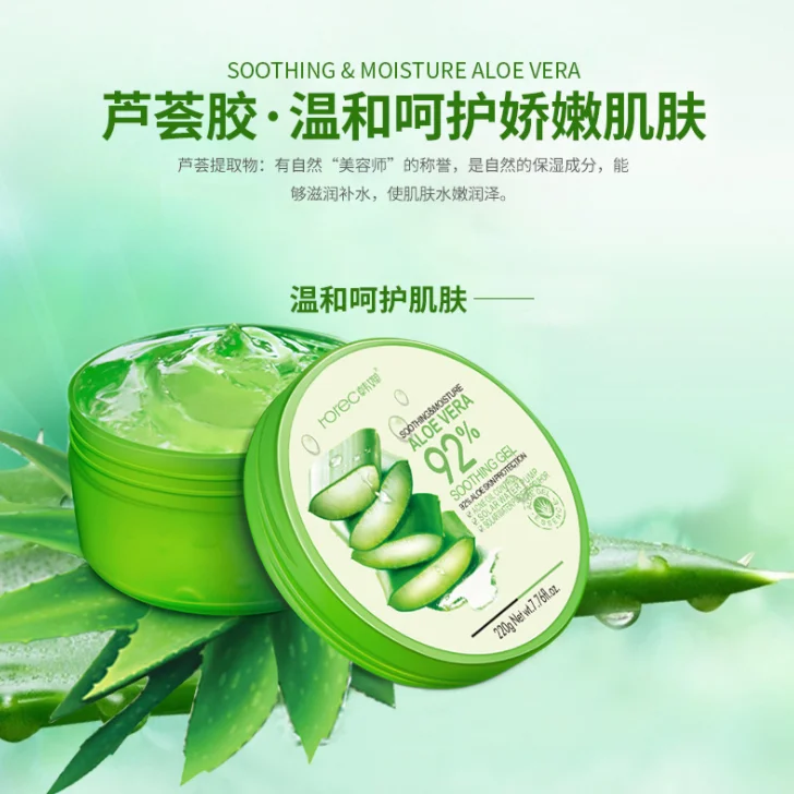 medicinal aloe vera Landscaping Plant Succulent – Bastana Online Gardens main image 1