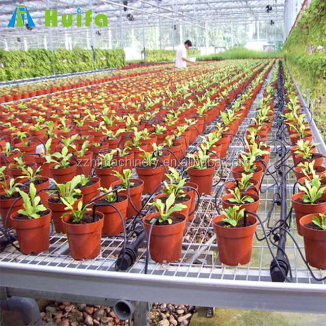 Farming Nursery Bed Greenhouse Equipment for Tomato Cucumber Strawberry Seedbed 4x8