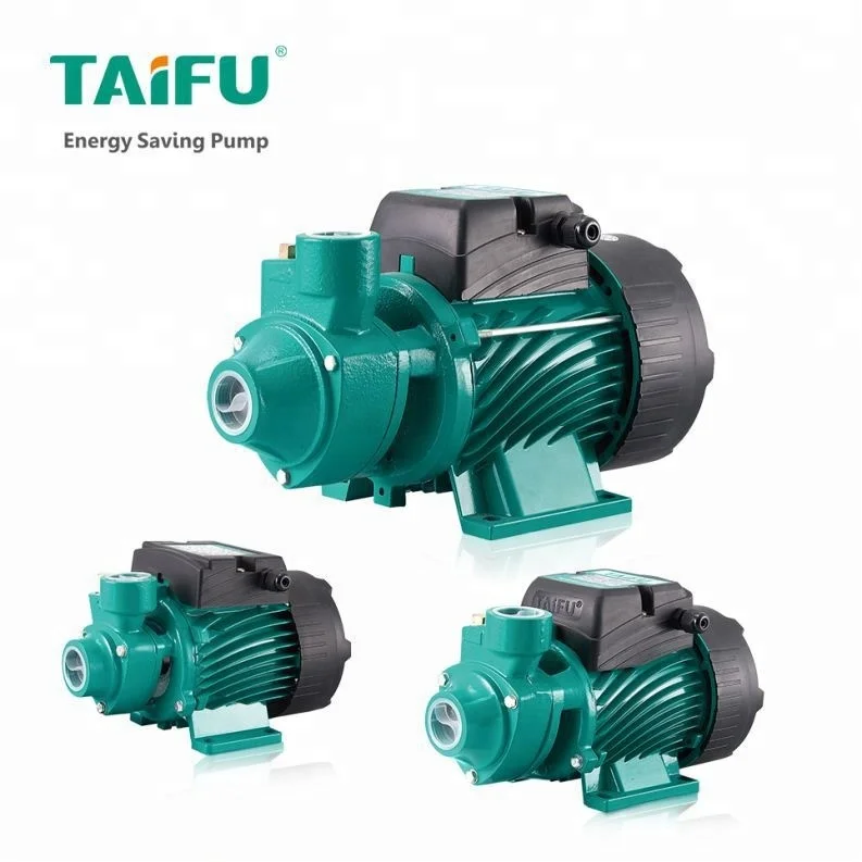 Quality Electric 0.15hp 220v Water Pump 