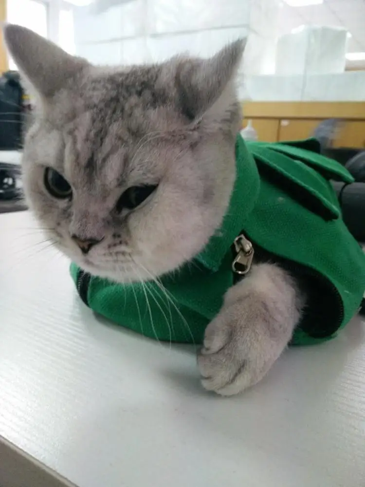 Veterinary Cat Examination Restraint Bag for Vet Clinics