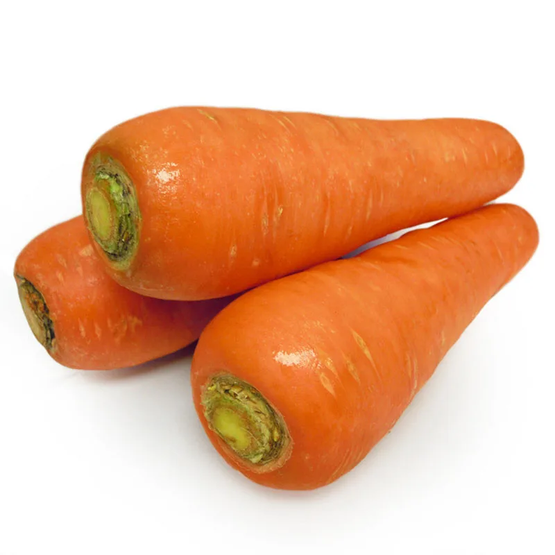 premium fresh organic carrots