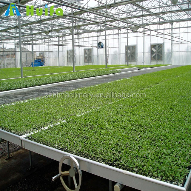 Farming Nursery Bed Greenhouse Equipment for Tomato Cucumber Strawberry Seedbed 4x8