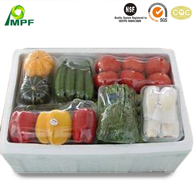 Customized Lightweight Insulating Reusable EPP Foam Plastic Molded Packaging Box