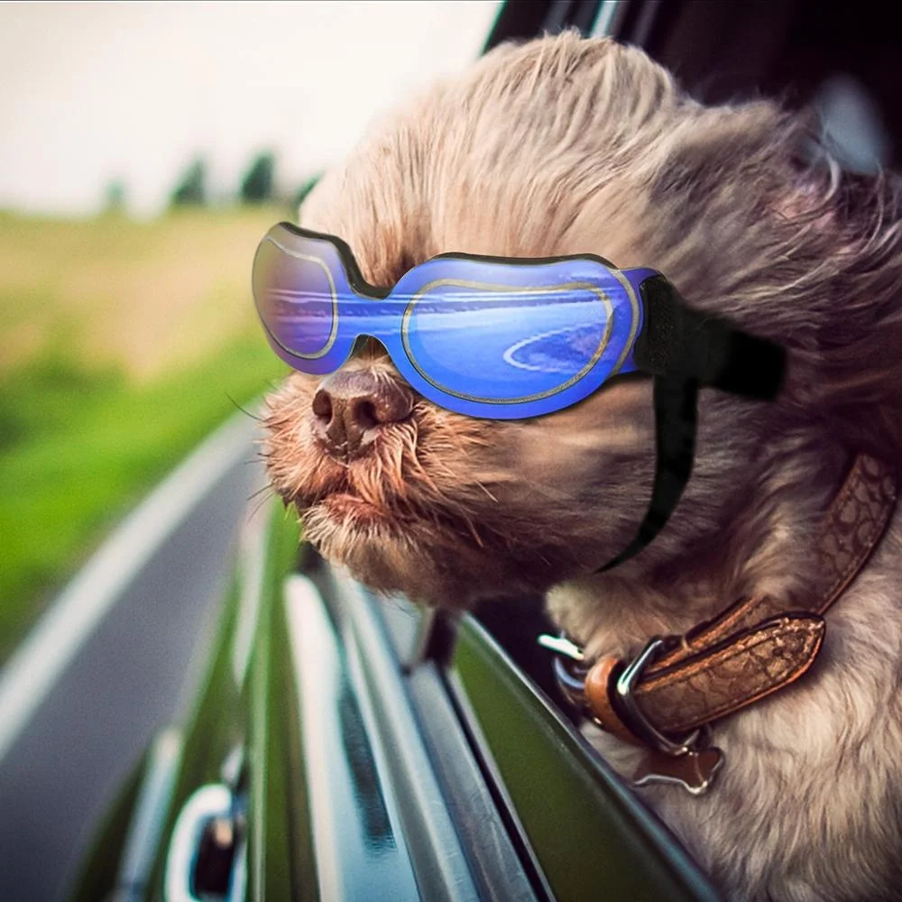 New Design Pet Glasses UV Protection Dog Goggles Fashionable Waterproof Pet Sunglasses for Pet Puppy Cat