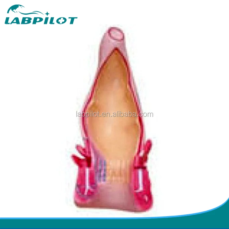 Human Rectum and Anal canal Model