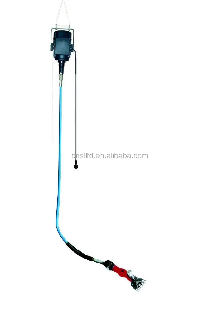 professional sheep clippers