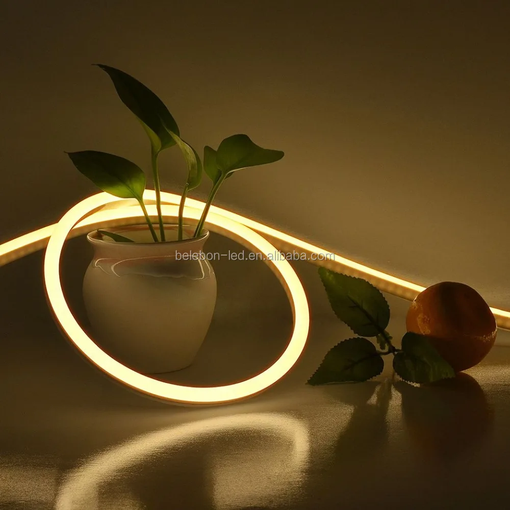 DC12V DC24V Silicon Led Flex Neon Flexi Rope Lights Strip Led, Solid Led Strip Neon Flex Light with Profile