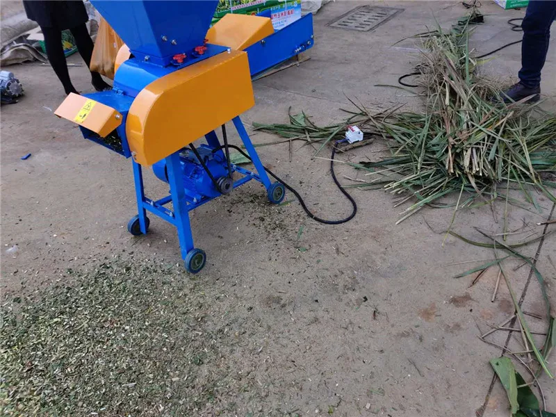 High Quality Corn Silage Cutter Machine Chaff Cutter in Sri Lanka Mini Chaff Cutter Feed Making Machine Animal Feed Machine