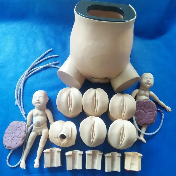 Модель вагины из ПВХ