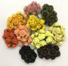Tutti i colori