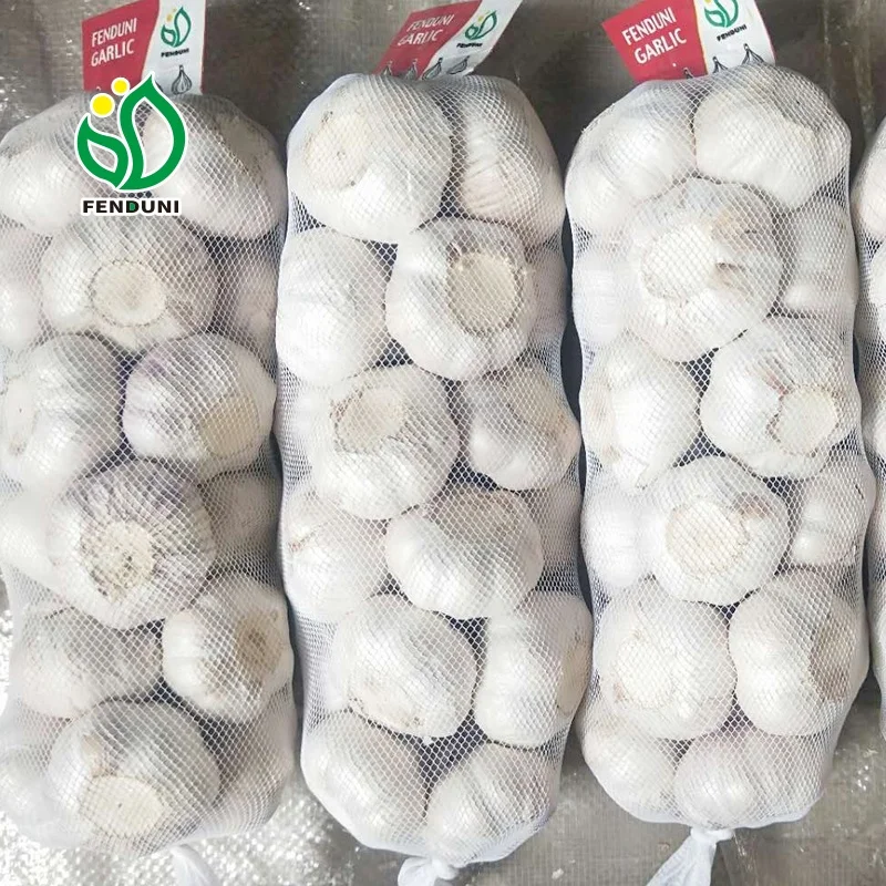 Spanish Red Garlic - New Season!!!
