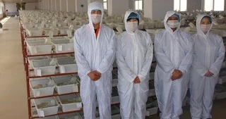 Qingdao Darenfucheng Animal Technology Co., Ltd. 2