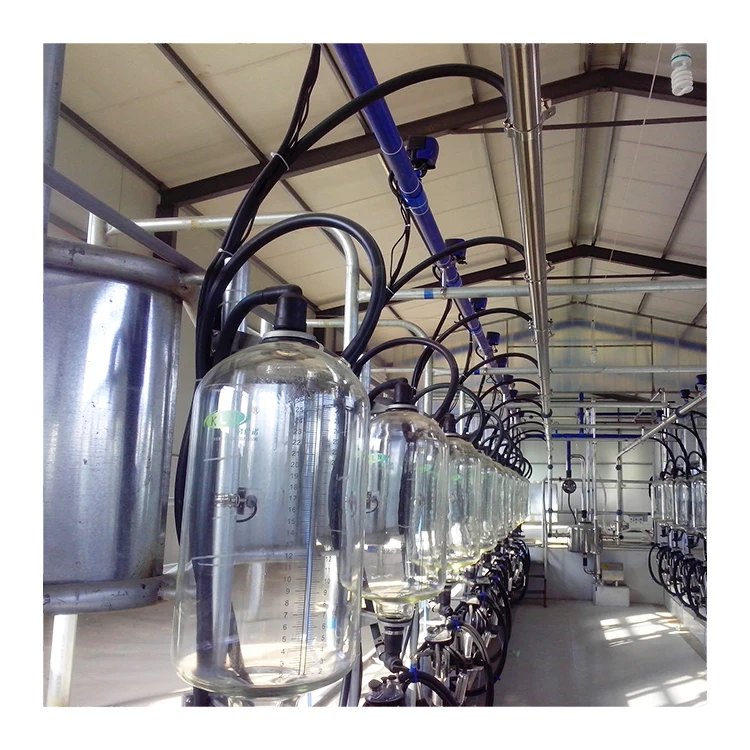 Hot Sale Automatic Milking System Cow