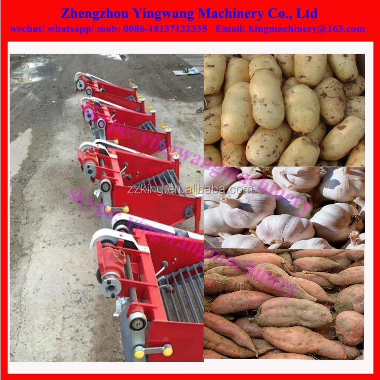 Small Scale Farm Use Potato Harvester / Small Onion Potato Digger Machine