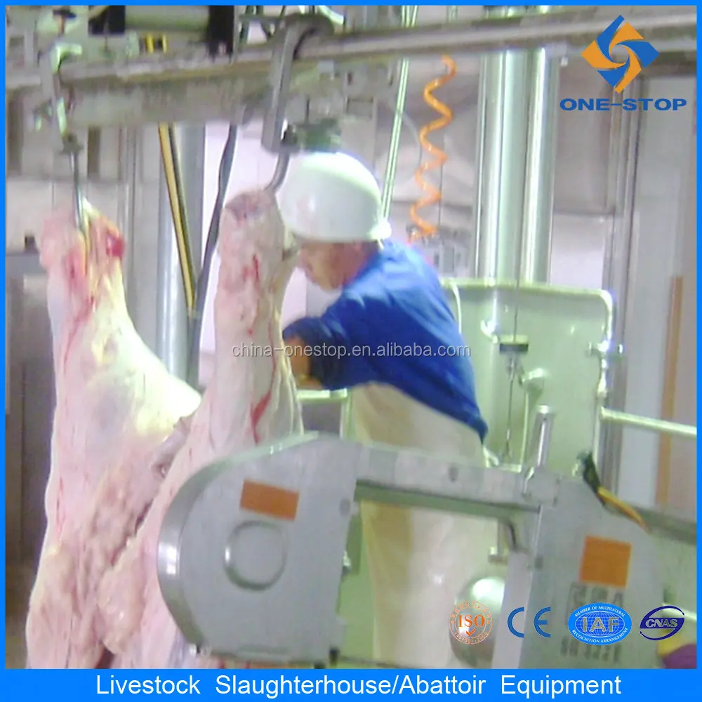 Belt type beef bone cutting machine