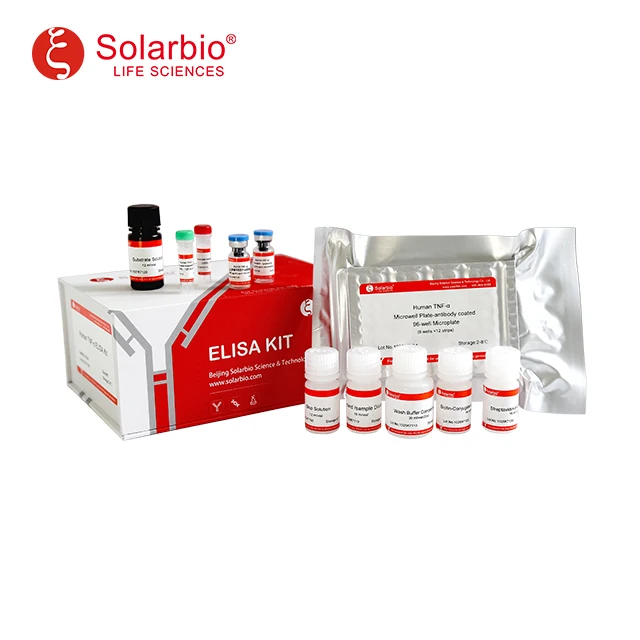 GSH Assay Kit - 100 Tests, Colormetric Testing for Precise Chemical  Analysis | Ideal Lab Kit for Professionals