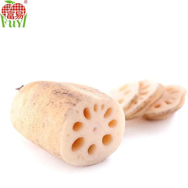 Harga Akar Lotus Segar Untuk Ekspor Buy Akar Teratai Lotus Root Harga Segar Akar Teratai Product On Alibaba Com