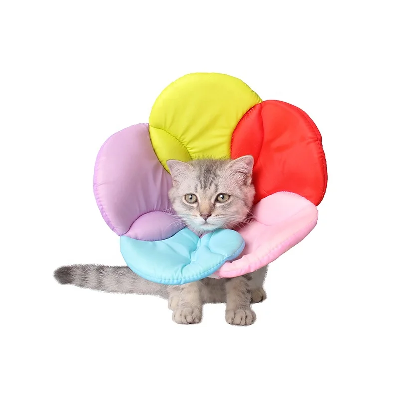 cat scratching collar