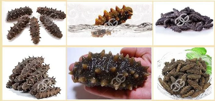 High Efficient Industrial Water Boiling Sea Cucumber Blanching Machine