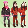 2 colors as picture