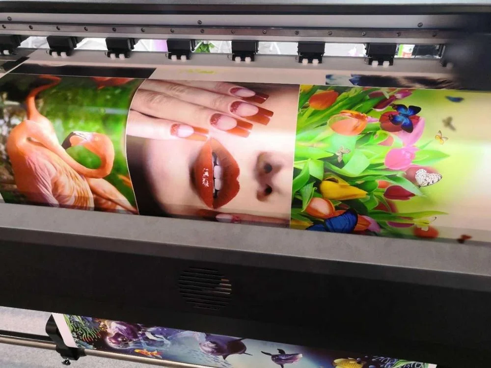 New update type 1.6m 1.8m wide format Eco solvent printer and cutter printing machine price