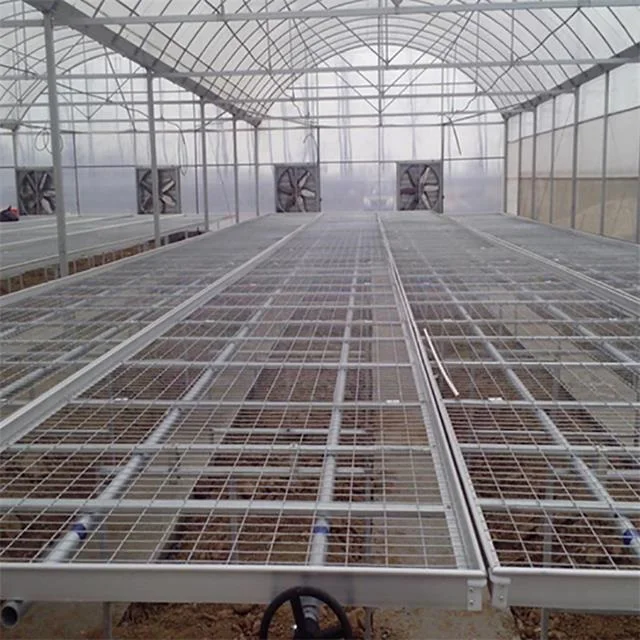 Ebb and Flow Rolling Bench for Seedling in Greenhouse