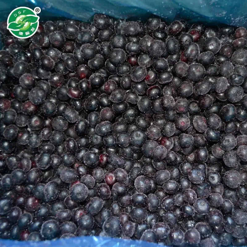 Qingdao Fresh hot sale chinese clean blueberry bulk package