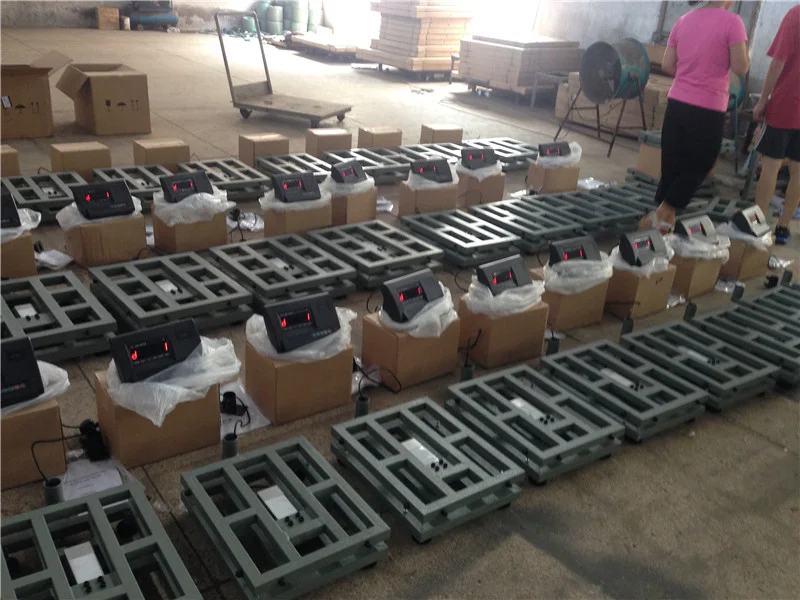 Weighing Scale with Automatic Alarm 100kg Electric Scale for Packing Line