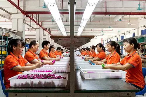 Foxlove Electronic Technology Co.,ltd. 2